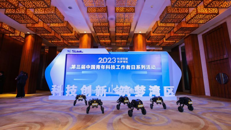 数据安全合规：企业IT决策者的关键考量